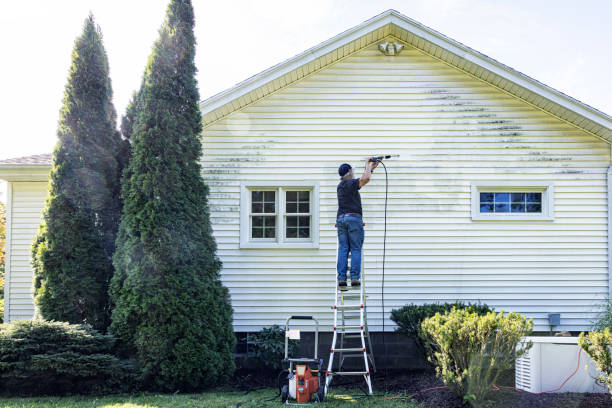 Best Driveway Cleaning and Restoration in Martsville, IN